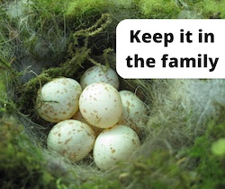 Family Investment Company: Frequently Asked Questions (The FIC FAQ)